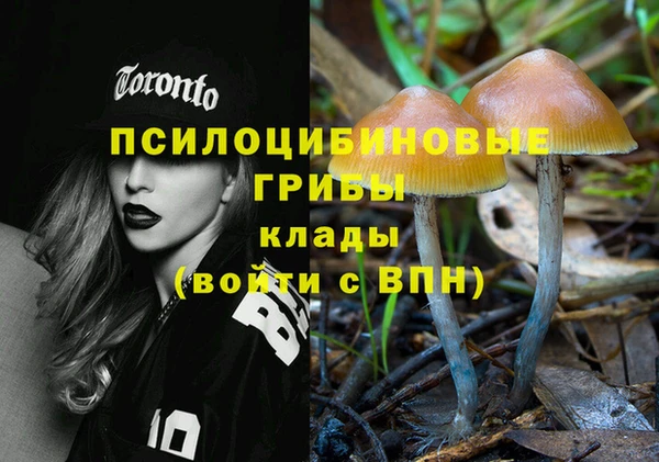соль ск Арсеньев