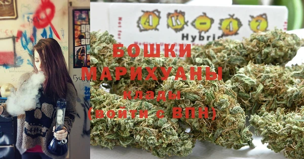 соль ск Арсеньев